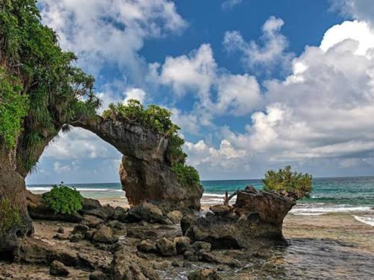 THE ISLAND STORY:ANDAMAN